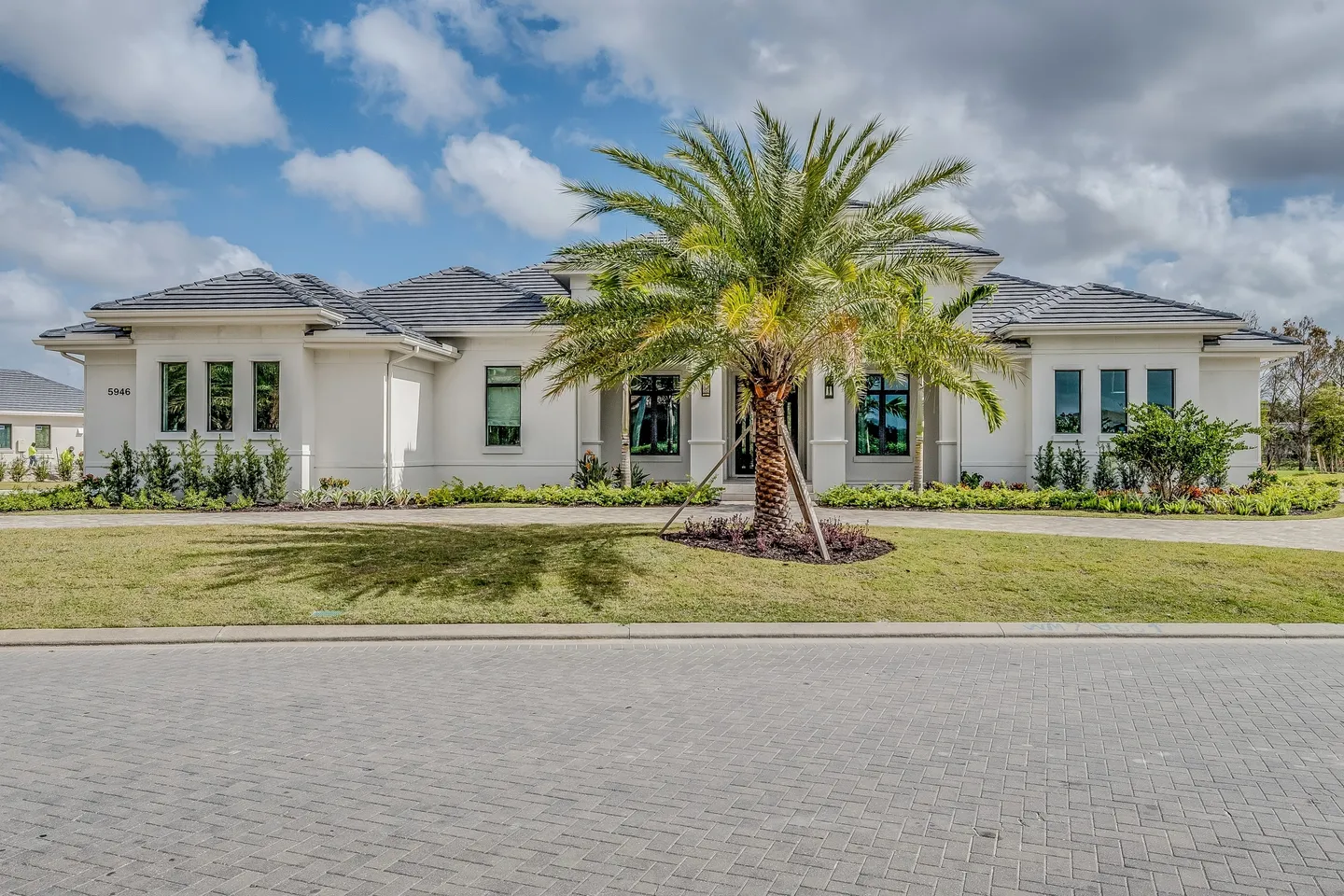 A palm tree in front of a house.